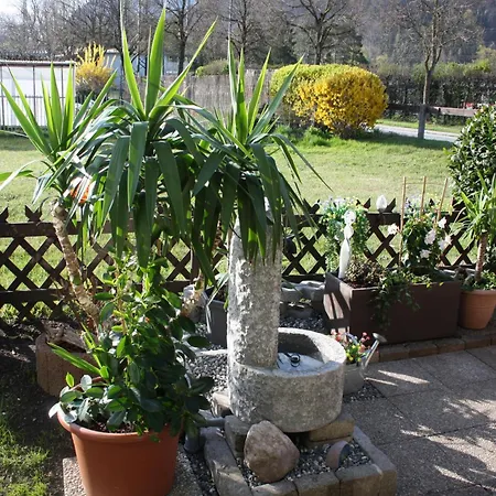 Ferien Bei Conny Nüziders